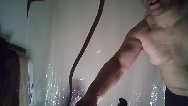 DreamCadian online show from March 2025 07:26:01 AM