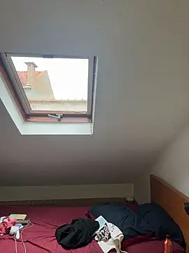 rafamarianoofc online show from March 2026 01:38:01 PM