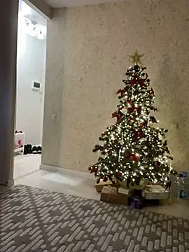 Big Mini online show from December 2024 04:43:02 PM