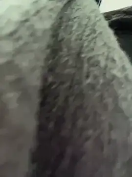 RinaCat online show from January 2025 05:30:02 AM