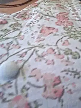 Priya Bong online show from February 2026 03:48:02 AM