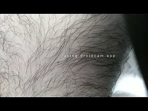 andrew co online show from March 2026 10:20:01 AM