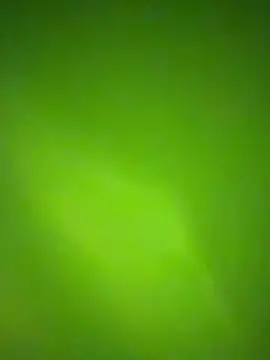 nene fun online show from January 2026 10:08:01 PM