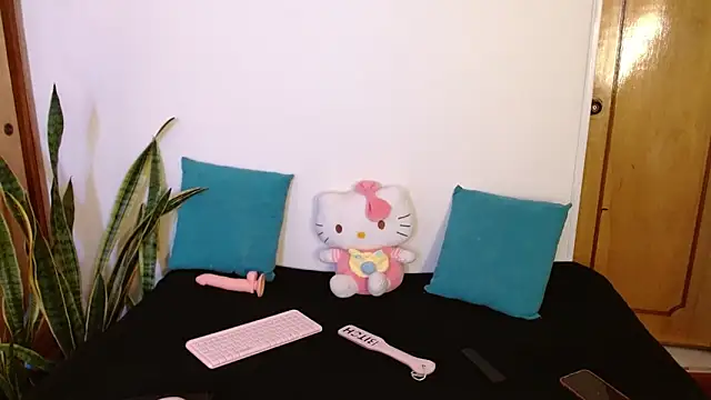 Snapshot of kittycatw chatting on December 2025 08:02:01 PM kittycatw online show from December 2025 08:02:01 PM