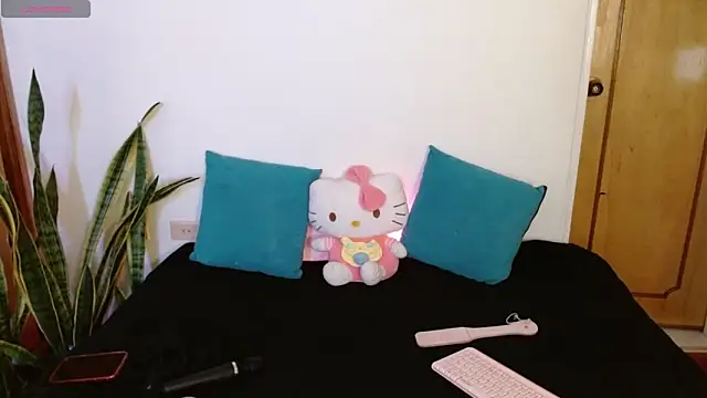 Snapshot of kittycatw chatting on December 2025 09:26:02 AM kittycatw online show from December 2025 09:26:02 AM