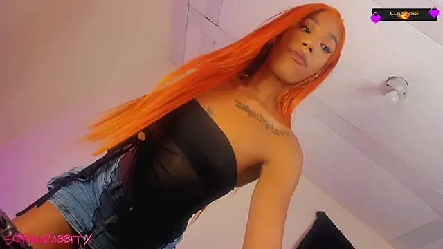 turabbitxx online show from November 2025 08:03:01 AM