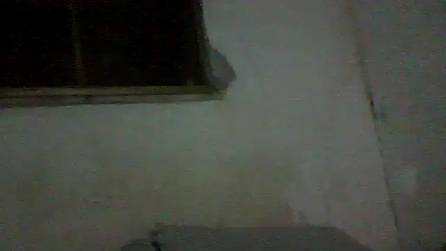 PAUBRASILEIRORJ online show from July 2026 01:56:01 AM