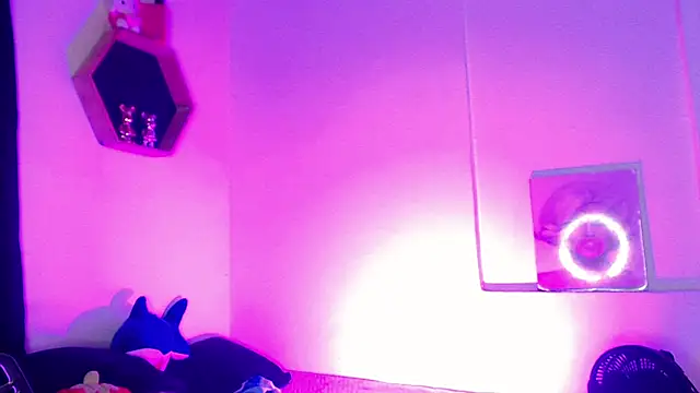 Gorrion   online show from March 2026 03:12:02 AM