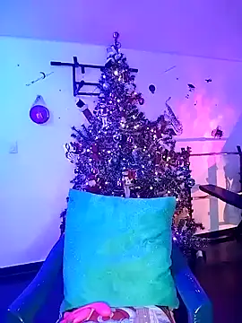 pleasure and fantasy online show from December 2024 02:29:02 AM