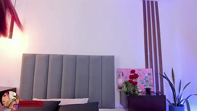 Scarlett Morgan  online show from November 2025 07:24:02 PM