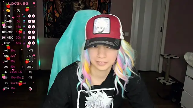 Project hisoka online show from December 2024 05:08:01 PM