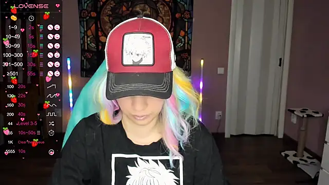 Project hisoka online show from December 2024 02:01:02 PM