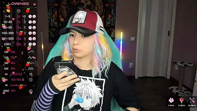 Project hisoka online show from December 2024 05:05:02 PM