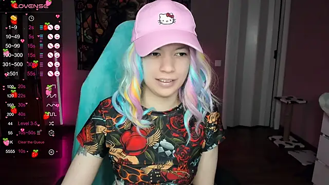 Project hisoka online show from December 2024 05:01:02 PM