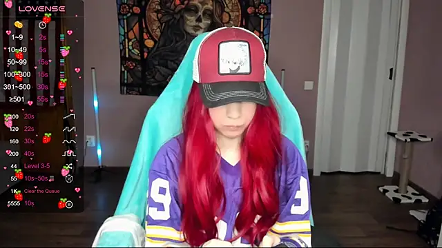 Project hisoka online show from December 2024 02:40:02 PM