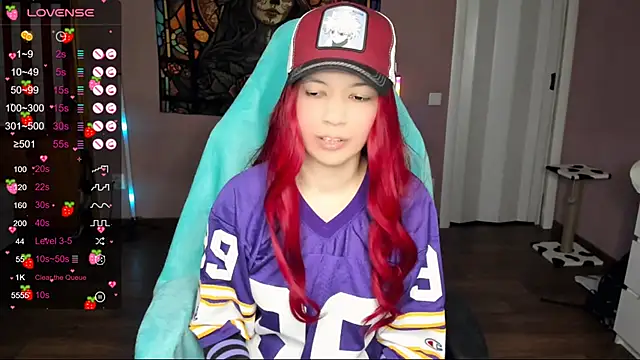 Project hisoka online show from December 2024 05:44:02 PM