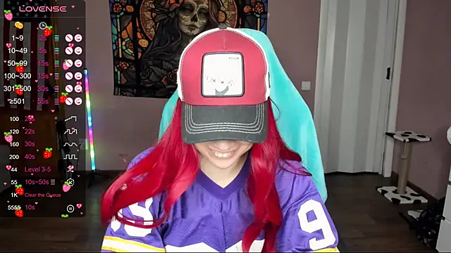 Project hisoka online show from December 2024 10:15:02 AM