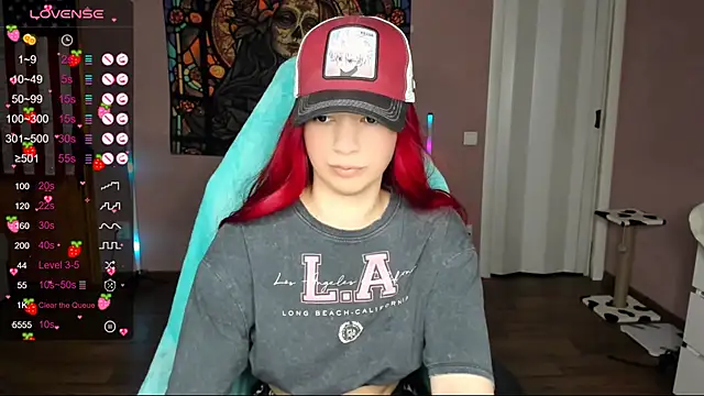 Project hisoka online show from January 2025 01:37:02 PM