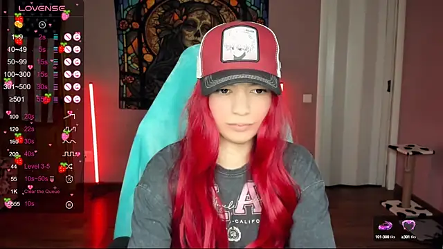 Project hisoka online show from January 2025 10:41:02 AM