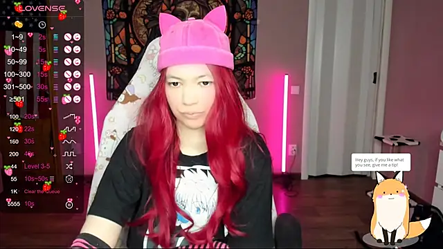 Project hisoka online show from January 2025 09:34:01 AM