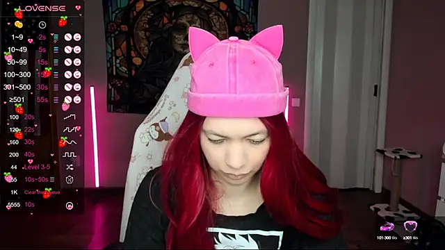 Project hisoka online show from January 2025 12:36:02 PM