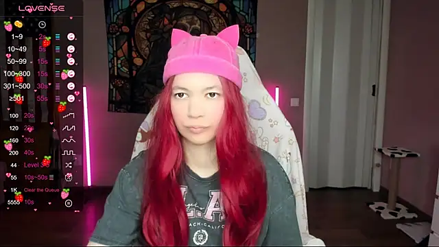 Project hisoka online show from January 2025 02:29:01 AM