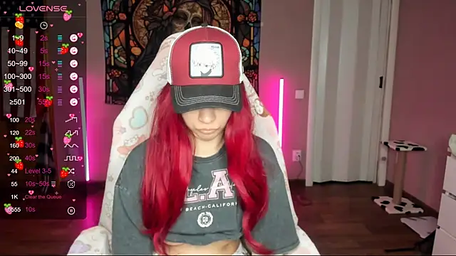 Project hisoka online show from January 2025 01:03:01 PM