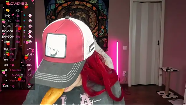 Project hisoka online show from January 2025 03:59:02 PM