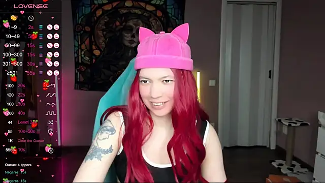 Project hisoka online show from January 2025 06:03:02 PM