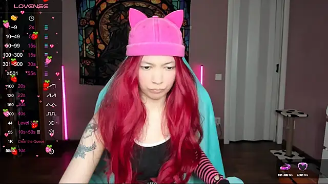 Project hisoka online show from February 2025 12:47:02 PM