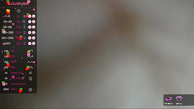 Project hisoka online show from February 2025 05:08:01 AM