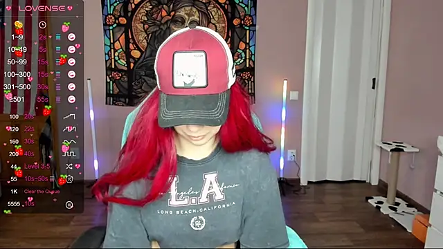 Project hisoka online show from February 2025 07:42:02 AM