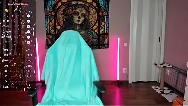 Project hisoka online show from March 2025 01:06:02 PM