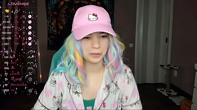 Project hisoka online show from March 2025 09:29:01 AM