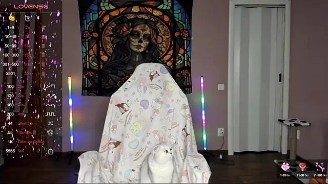 Project hisoka online show from March 2025 11:58:01 AM