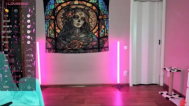 Project hisoka online show from March 2025 02:25:02 PM