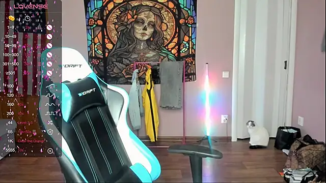 Project hisoka online show from October 2025 11:09:02 AM