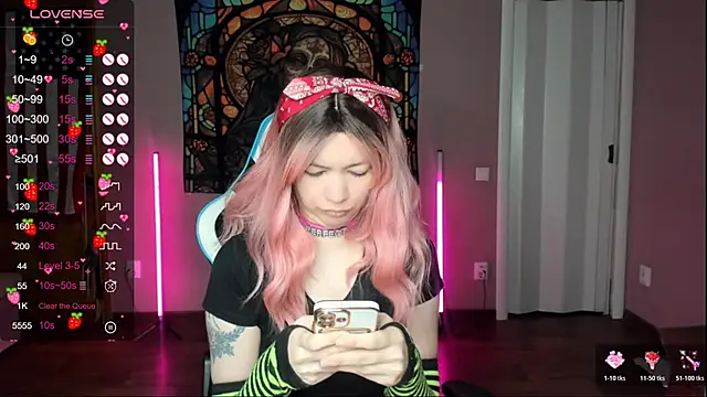 Project hisoka online show from January 2026 04:06:02 AM