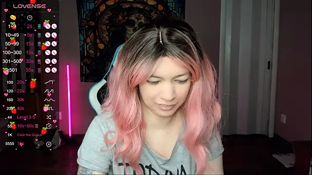 Project hisoka online show from January 2026 07:45:02 AM