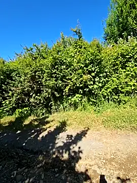 Snapshot of Reinacatchile chatting on December 2024 07:36:01 PM Reinacatchile online show from December 2024 07:36:01 PM