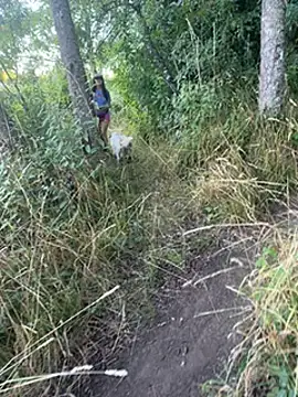 Snapshot of Reinacatchile chatting on January 2025 11:24:01 PM Reinacatchile online show from January 2025 11:24:01 PM