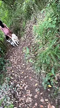 Snapshot of Reinacatchile chatting on February 2025 10:55:02 PM Reinacatchile online show from February 2025 10:55:02 PM