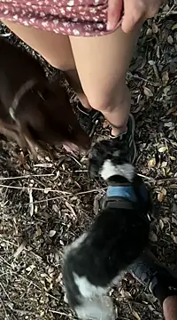 Snapshot of Reinacatchile chatting on February 2025 11:58:02 PM Reinacatchile online show from February 2025 11:58:02 PM