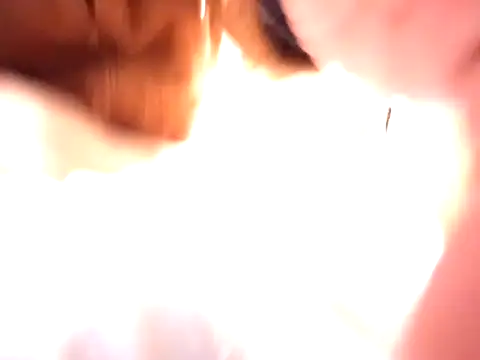 Snapshot of pnp0Japan chatting on December 2024 03:09:02 PM pnp0Japan online show from December 2024 03:09:02 PM