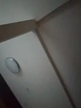 Snapshot of pnp0Japan chatting on February 2025 08:50:02 AM pnp0Japan online show from February 2025 08:50:02 AM