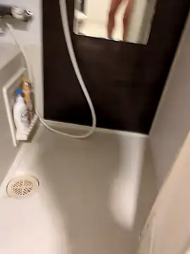 Snapshot of pnp0Japan chatting on March 2025 03:30:02 PM pnp0Japan online show from March 2025 03:30:02 PM