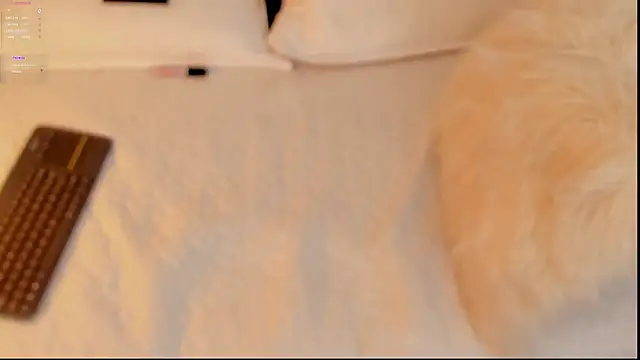 FabianPriince online show from January 2025 06:28:01 PM