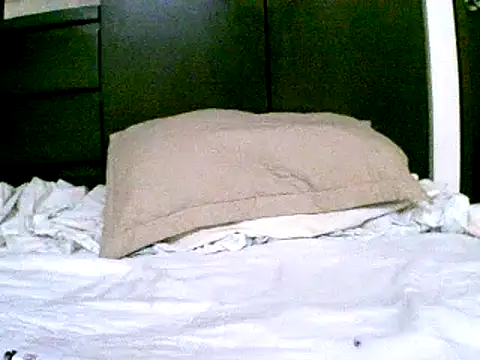 pollarikaaa online show from December 2024 09:51:02 PM