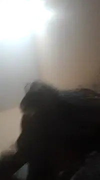 Sajal-03 online show from December 2024 04:51:02 PM