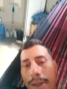 Snapshot of luissilva0071 chatting on May 2026 11:38:02 AM luissilva0071 online show from May 2026 11:38:02 AM